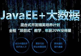 企業(yè)級JAVA+大數(shù)據(jù)